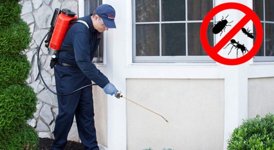 Kulp Akrep İlaçlama böcek ilaçlama ve haşere kontrolü — ilaclama-tr.com